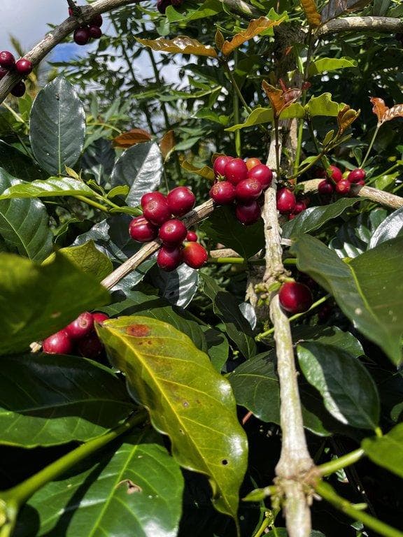 Image News949o73idtc