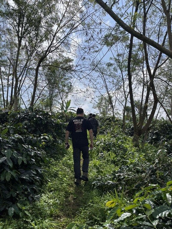 Image Newsa3caodhkts