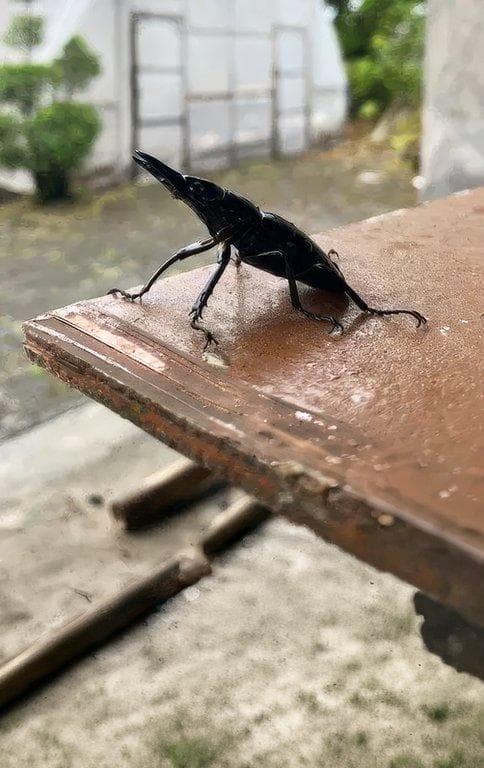 Image News7qjhogfvvi