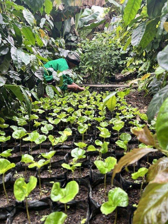 Image Newsbko1sa523g